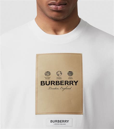 burberry t-shirt original price|men burberry t shirt sale.